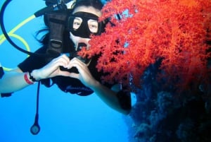 Sharm El Sheikh: Ras Mohamed Cruise with Snorkeling & Lunch