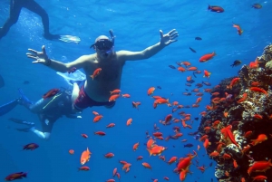 Sharm El Sheikh: Ras Mohamed Cruise with Snorkeling & Lunch