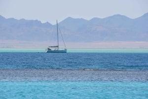 Sharm El Sheikh : Ras Mohamed et l'île blanche avec déjeuner