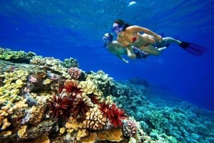 Sharm El Sheikh: Ras Mohammed and Island Cruise with Lunch