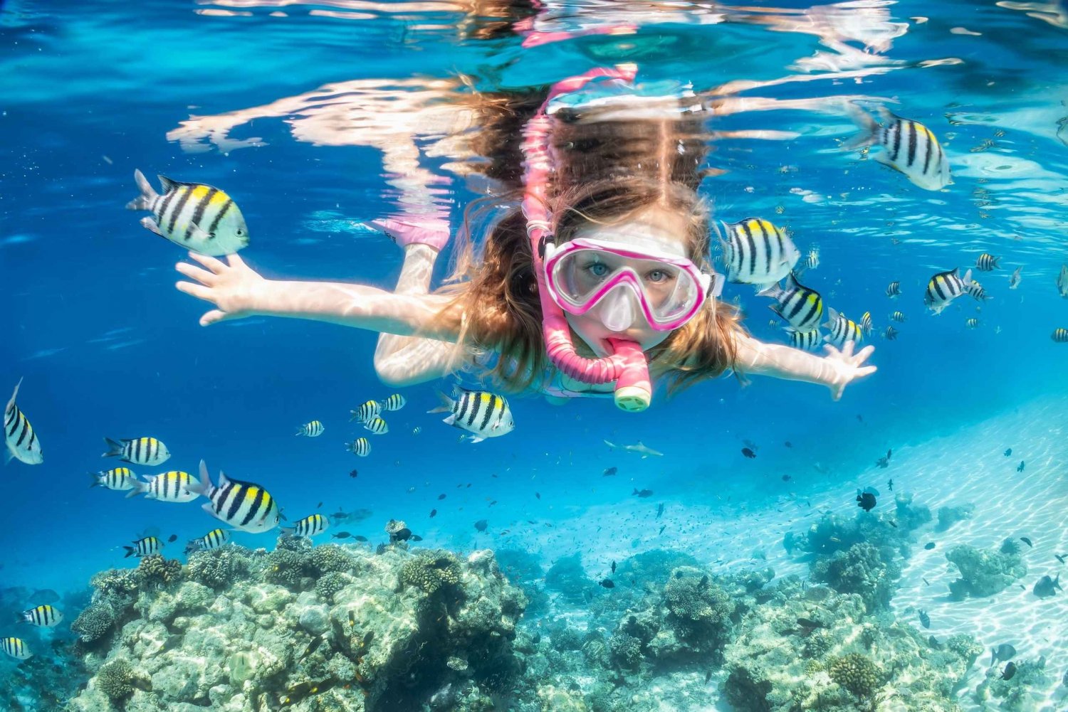 Sharm el-Sheikh: Ras Mohamed Snorkeling and Magic Lake Tour