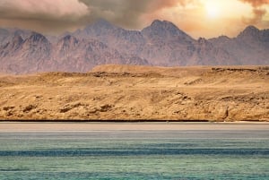 Sharm el-Sheikh: Ras Mohammed Park and Magic Lake Day Tour