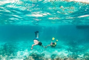 Sharm El Sheikh: Ras Mohammed Private Snorkeling Boat Tour