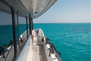 Sharm El-Sheikh: Crociera a Ras Mohammed e all'Isola Bianca