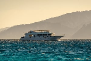 Sharm El-Sheikh: Crociera a Ras Mohammed e all'Isola Bianca