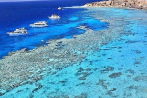 Sharm El-Sheikh: Ras Muhammed and White Island Cruise Tour