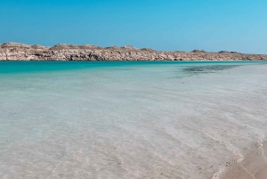 Sharm El Sheikh:Ras Muhammed Park & Magic Lake Snorkel Tour