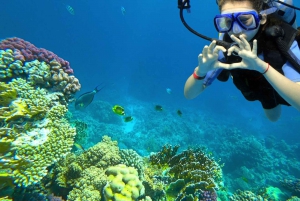 Sharm El Sheikh: Ras Muhammed, White Island with Diving
