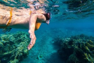 Sharm El Sheikh: Ras Muhammed, White Island with Diving