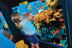 Sharm el-Sheikh: Panoramic Glass Bottom Boat Adventure