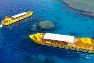 Sharm El-Sheikh : Croisière sous-marine Royal Seascope avec prise en charge