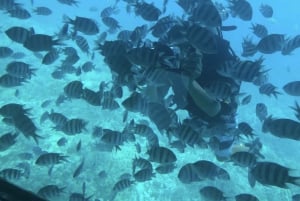 Sharm El-Sheikh: Royal Seascope U-Boot-Kreuzfahrt mit Abholung