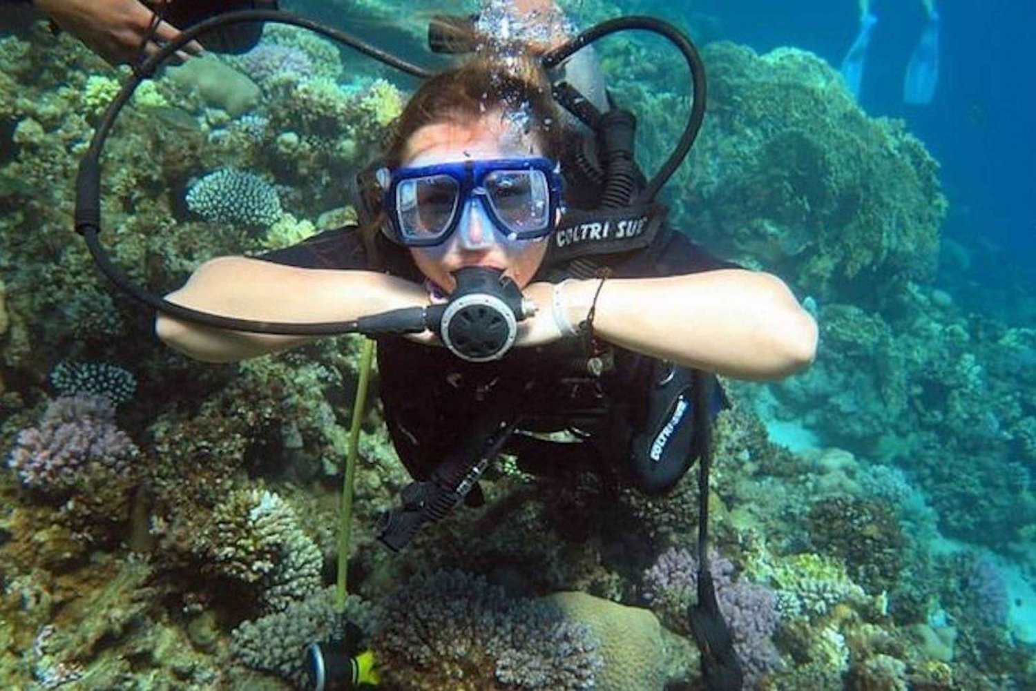 Sharm: Introdução ao mergulho a partir da costa e cursos PADI