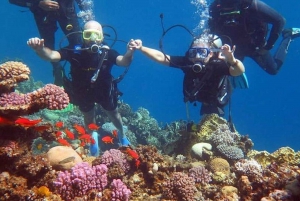 Sharm El-Sheikh: Scuba Dive Introduction from the Shore