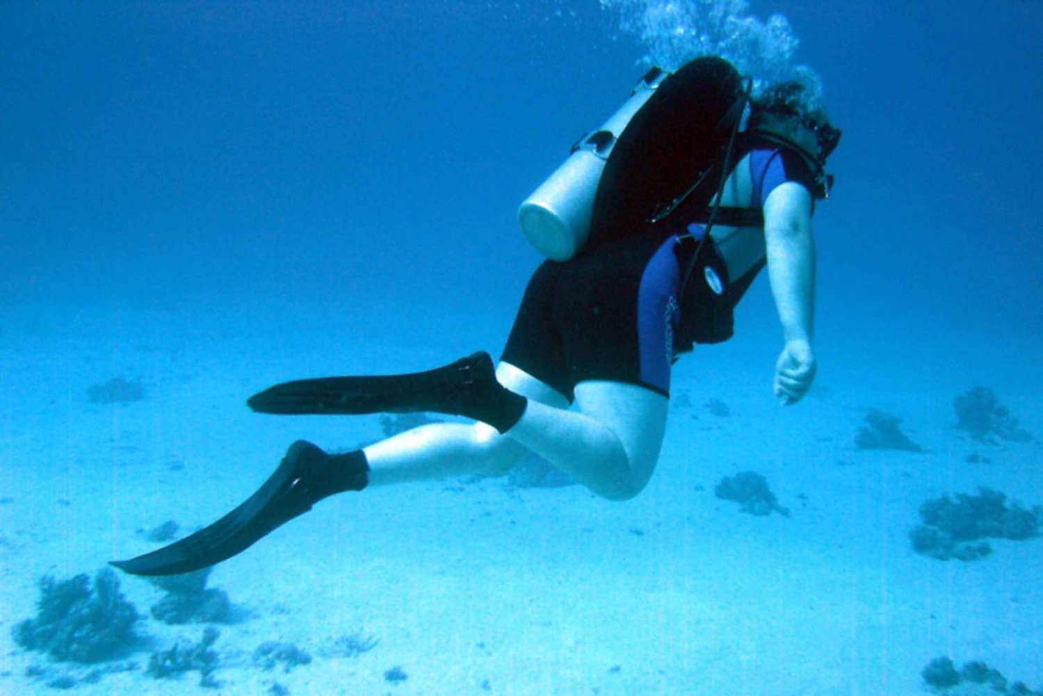 Dive-into-the-Vibrant-Underwater-World