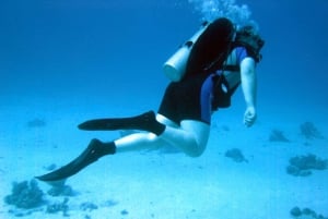Sharm El-Sheikh: Guided Shore Scuba Diving at 2 Dives
