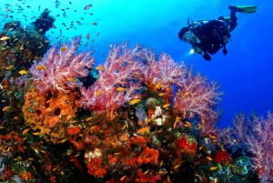 Sharm El Sheikh: Scuba Shore Diving with Hotel Pickup