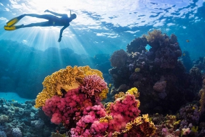 Sharm El-Sheikh: Blue Hole or 3 Pools Dahab Trip with Lunch