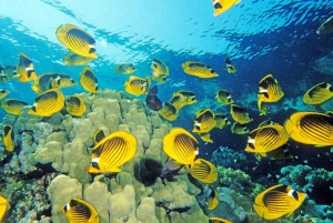 Sharm El-Sheikh: Blue Hole or 3 Pools Dahab Trip with Lunch