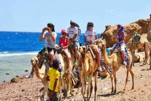 Sharm el-Sheikh: Snorkel & Camel Safari at Blue Hole
