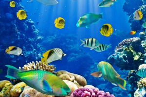 Sharm El-Sheikh: Blue Hole or 3 Pools Dahab Trip with Lunch