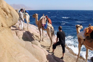 Sharm El-Sheikh: Blue Hole or 3 Pools Dahab Trip with Lunch