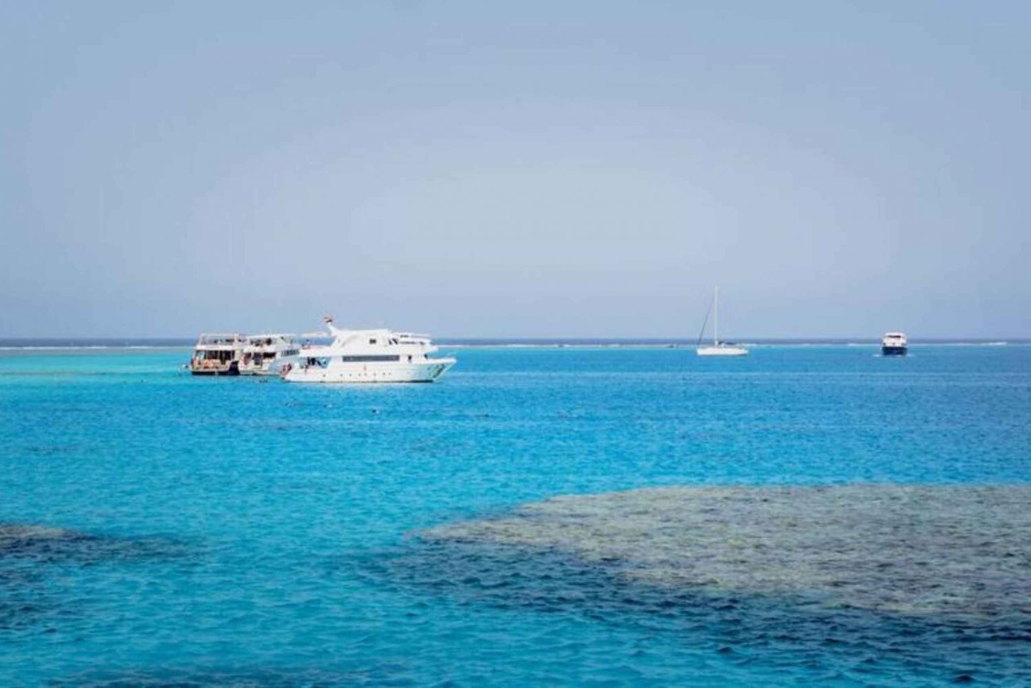 Sharm El Sheikh: Snorkeling Trip to Tiran Island with Lunch