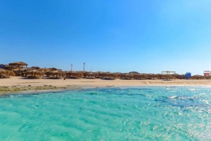 Sharm El Sheikh: Snorkeling Trip to Tiran Island with Lunch