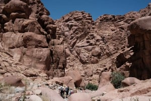 Sharm El Sheikh: St. Catherine's & Colored Canyon Jeep Tour