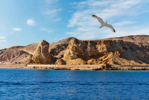 Sharm El Sheikh: Sunrise ATV, Diving, Snorkel & White Island