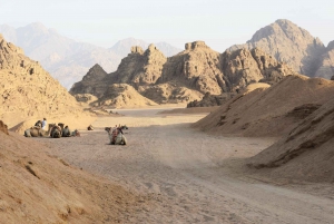 Sharm El Sheikh: Sonnenaufgang oder Sonnenuntergang ATV Quad Abenteuer