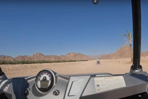 Sharm El-Sheij Safari al atardecer en buggy y excursión en camello con barbacoa