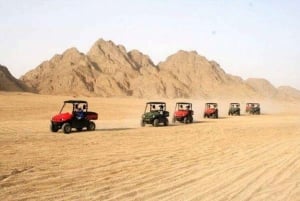 Sharm El-Sheikh : Safari en buggy au coucher du soleil et excursion à dos de chameau avec barbecue