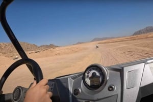 Sharm El-Sheikh: Safari in buggy al tramonto e tour in cammello con barbecue