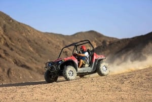 Sharm El-Sheikh: Sunset Buggy Safari och Kameltur med BBQ