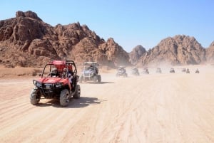Sharm El-Sheikh: BBQ:lla varustetut retket: Auringonlaskun buggiajelu ja kamelikierros