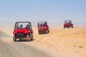 Sharm El-Sheikh: BBQ:lla varustetut retket: Auringonlaskun buggiajelu ja kamelikierros