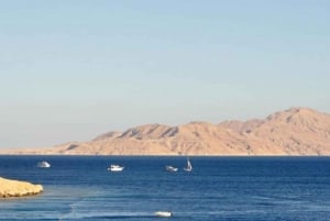 Sharm El Sheikh: Tiran Island bådtur med privat transport