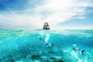 Sharm El Sheikh: Tiran Island Cruise Tour with Intro Dive