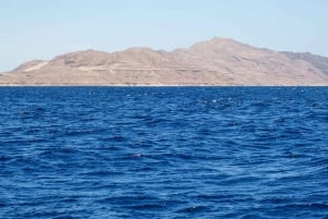 Sharm El Sheikh: Snorkelen op het eiland Tiran Boottocht & Lunch