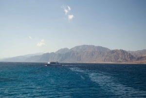 Sharm El Sheikh: Passeio de barco com mergulho com snorkel na Ilha Tiran e almoço