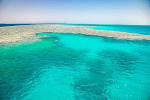 Sharm El Sheikh: Tiran Island Snorkeling Boat Cruise & Lunch