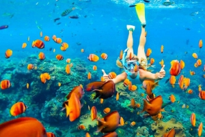 Sharm El Sheikh: Luxury Yacht Trip with Lunch & Drinks