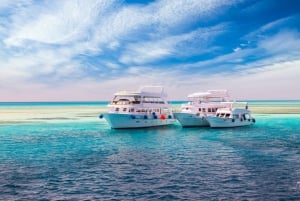 Ilha Branca e passeio de barco em Ras Mohamed