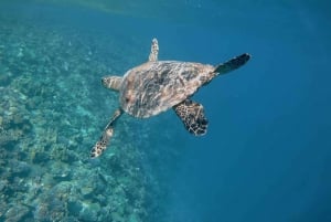 Sharm El-Sheij Excursión de snorkel a Ras Mohamed y la Isla Blanca