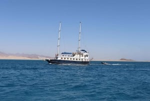 Sharm El-Sheij Excursión de snorkel a Ras Mohamed y la Isla Blanca