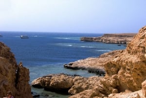 Sharm El-Sheikh: White Island & Ras Mohammed Snorkel Trip