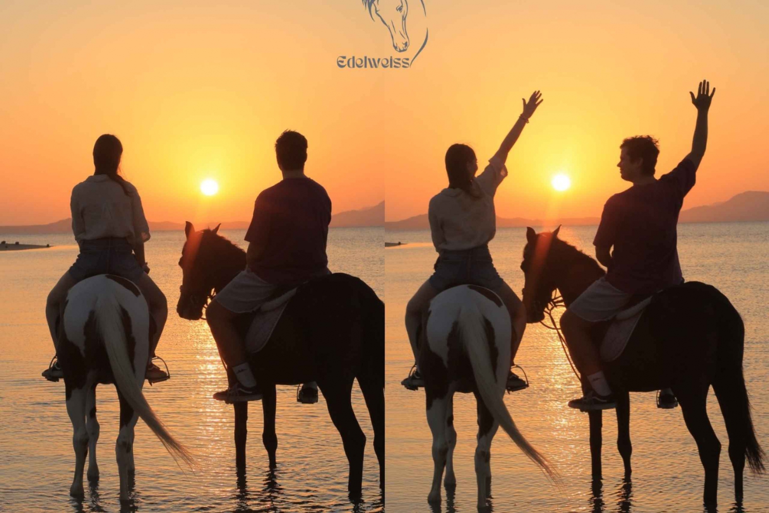 Sharm El Shiekh: Paardrijden op het strand en in de woestijn