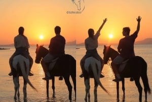 Sharm El Shiekh: Beach and City Desert Horse Riding Tour