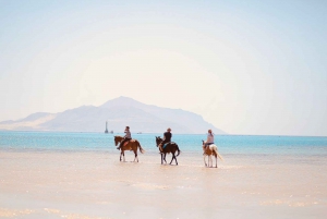 Sharm El Shiekh: Ridetur på stranden og i ørkenen